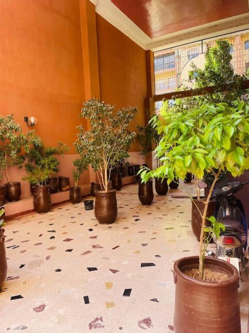 Trattoria Marrakech Centre-ville * Marrakesh